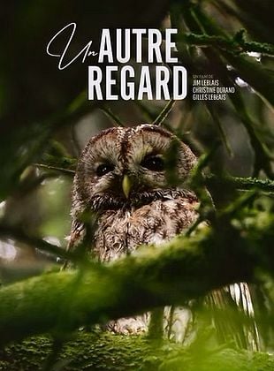 Projection "Un autre regard"