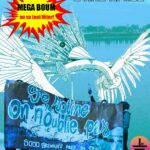 Méga boum pour les 3 ans de Sainte Soline