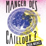 Grand pique-nique citoyen contre le projet de carrière de Montreuil-au-Houlme